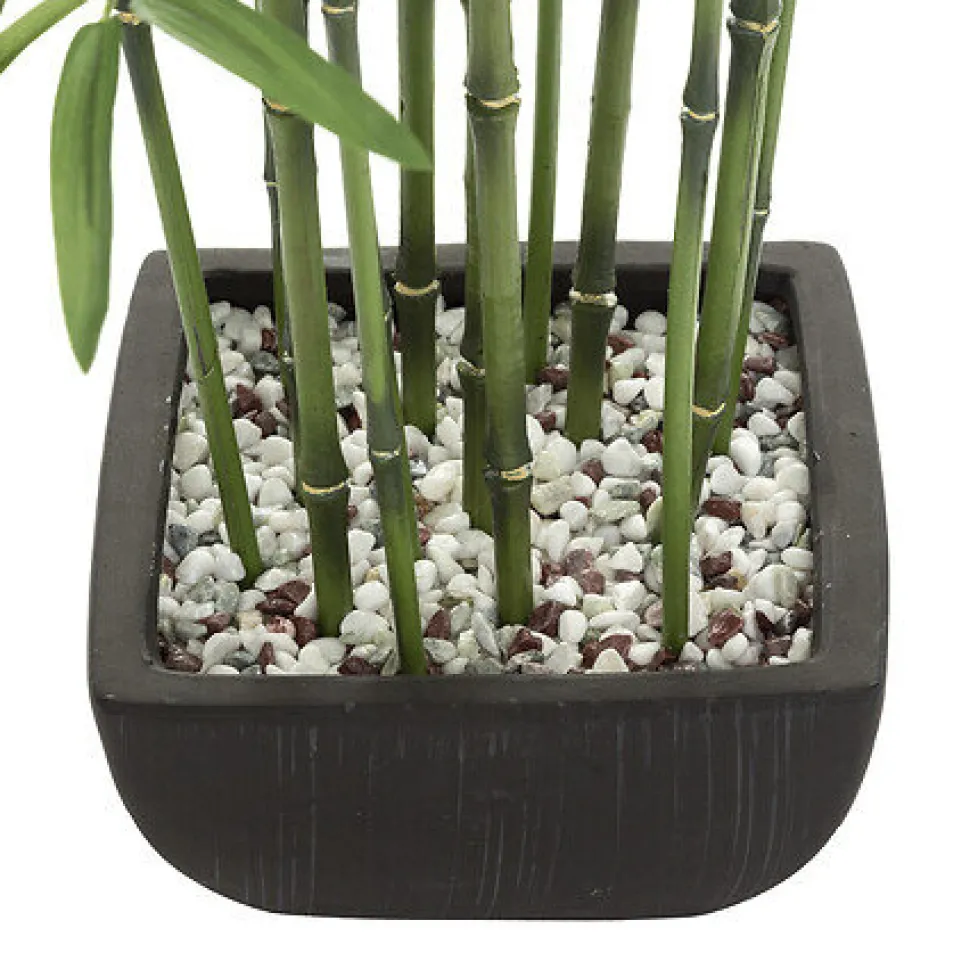 Bambus o wysokości 180 cm z ceramiczną doniczką