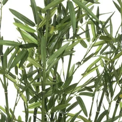 Bambus o wysokości 180 cm z ceramiczną doniczką