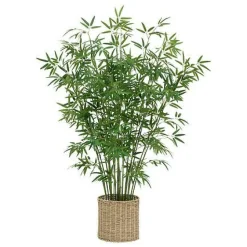 Bambus o wysokości 150 cm z doniczką z naturalnego materiału