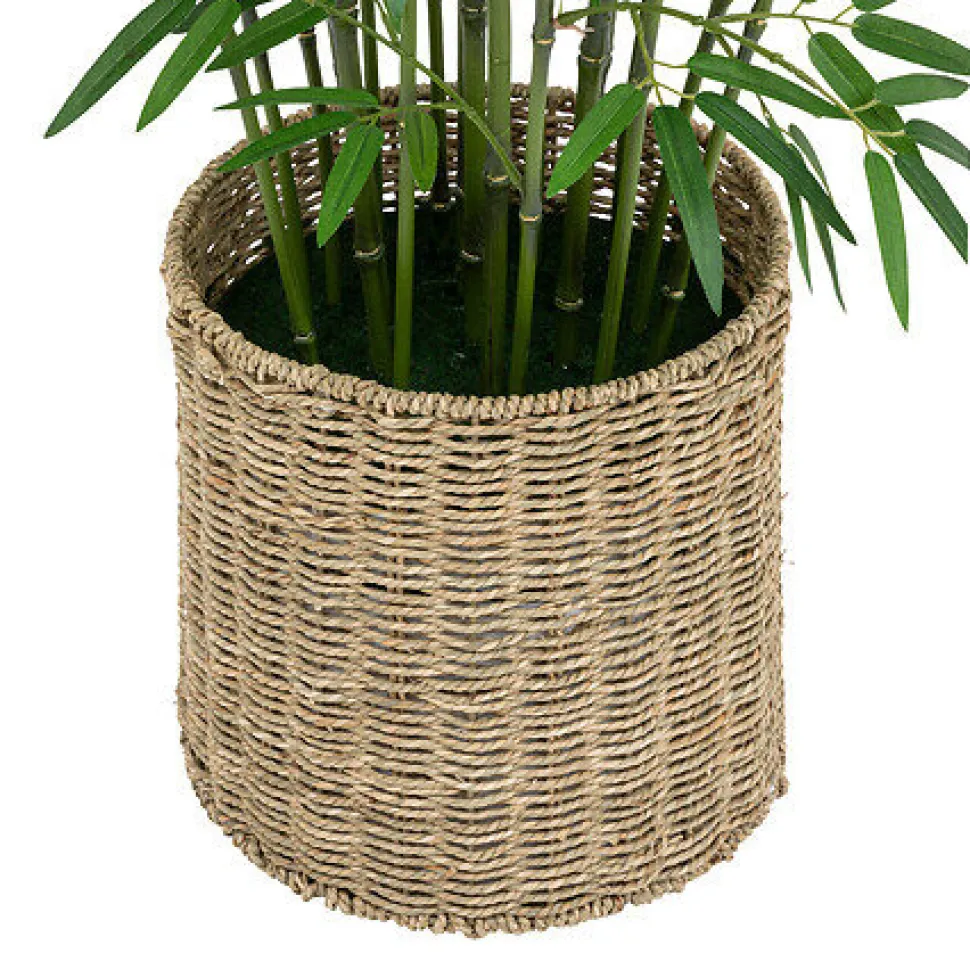 Bambus o wysokości 150 cm z doniczką z naturalnego materiału