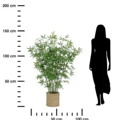 Bambus o wysokości 150 cm z doniczką z naturalnego materiału