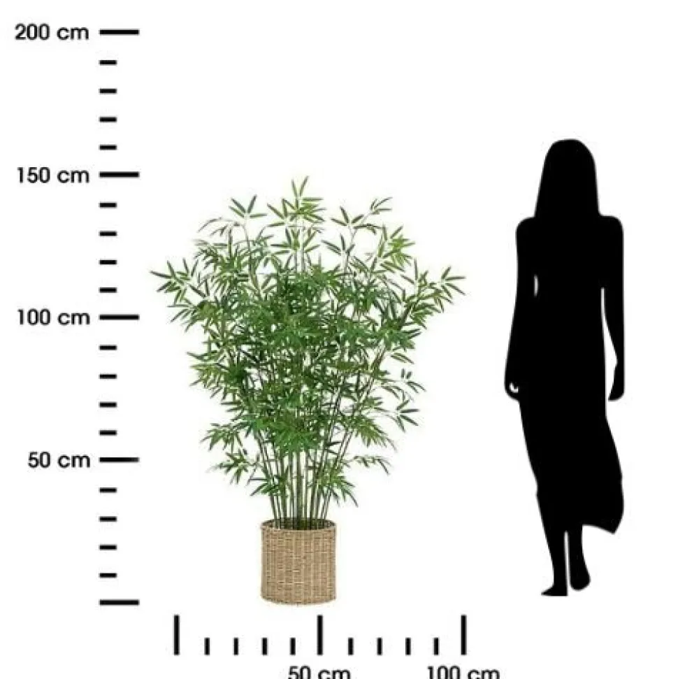 Bambus o wysokości 150 cm z doniczką z naturalnego materiału