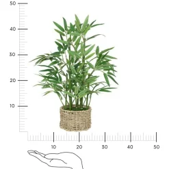 Bambus o wysokości 46 cm z doniczką       z naturalnego materiału