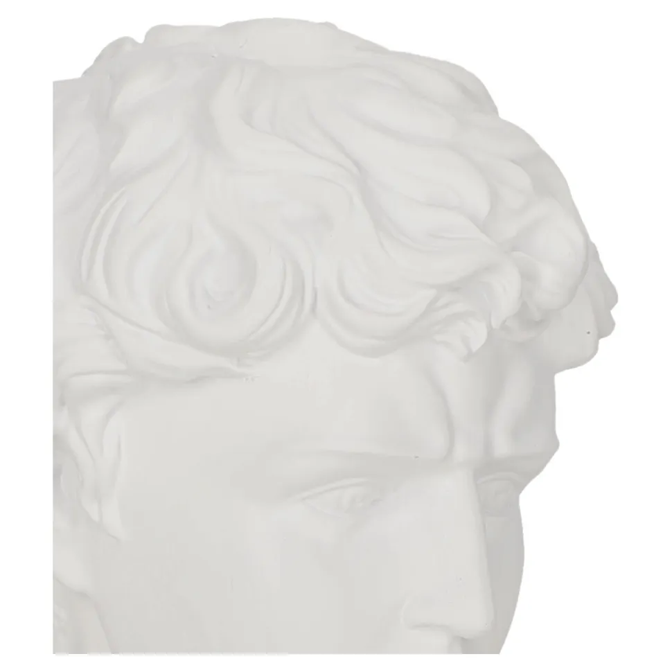 Dekoracja głowa Dawida biała