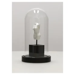 Dekoracja pod szkłem Afrodyta