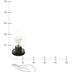 Dekoracja pod szkłem Dawid