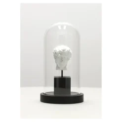 Dekoracja pod szkłem Dawid