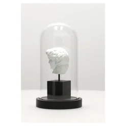 Dekoracja pod szkłem Dawid