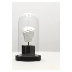 Dekoracja pod szkłem Dawid