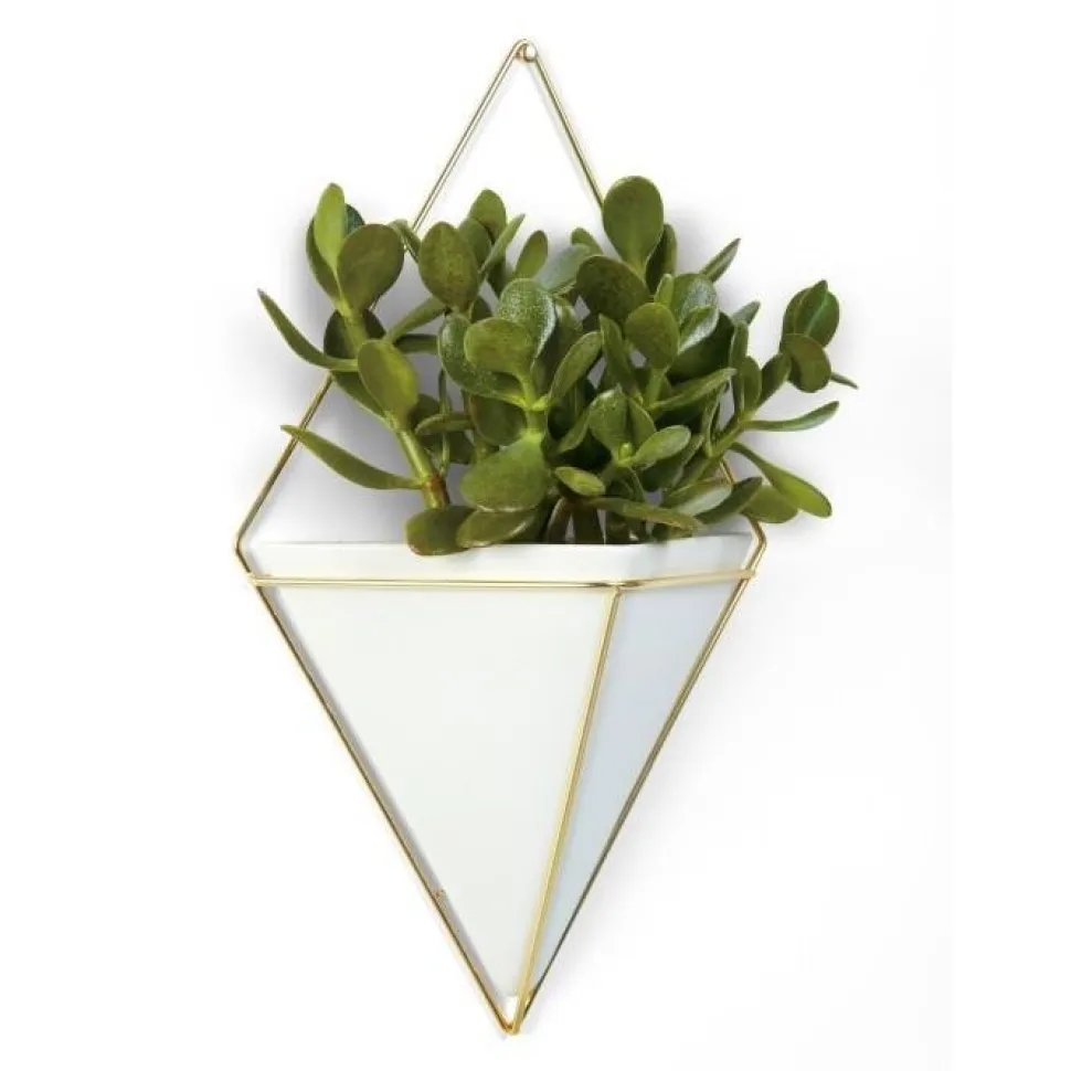 Doniczka ścienna Trigg Brass