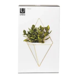 Doniczka ścienna Trigg Brass