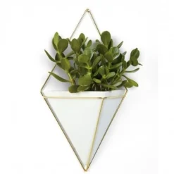 Doniczka ścienna Trigg Brass