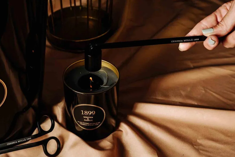 Dyfuzor Premium Reed 500ml Menthe and Basil