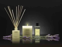 Dyfuzor Premium Reed 100ml Provence Lavender