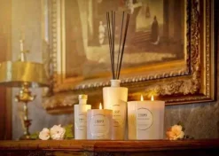 Dyfuzor Premium Reed 100ml. Tobacco and Amber