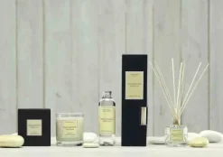 Dyfuzor Santiago Reed 100ml. Madagascar Vanilla