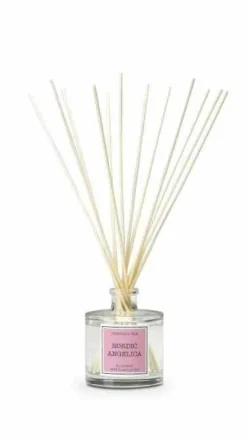 Dyfuzor Santiago Reed 100ml. Nordic angelic