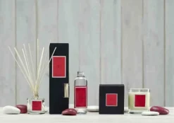 Dyfuzor Santiago Reed 100ml. Red fruits