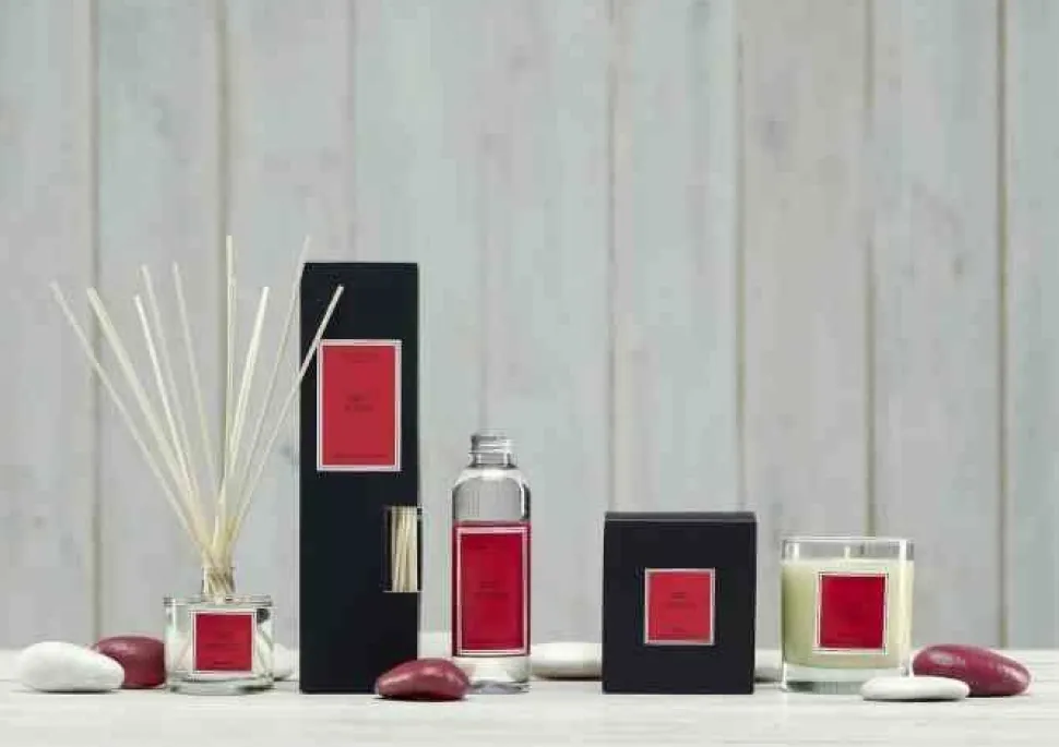 Dyfuzor Santiago Reed 100ml. Red fruits