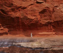 Dywan Alsana Purple 160x230 Carpet Decor