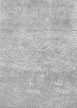 Dywan Canyon  Gray 200x300  Stone Collection