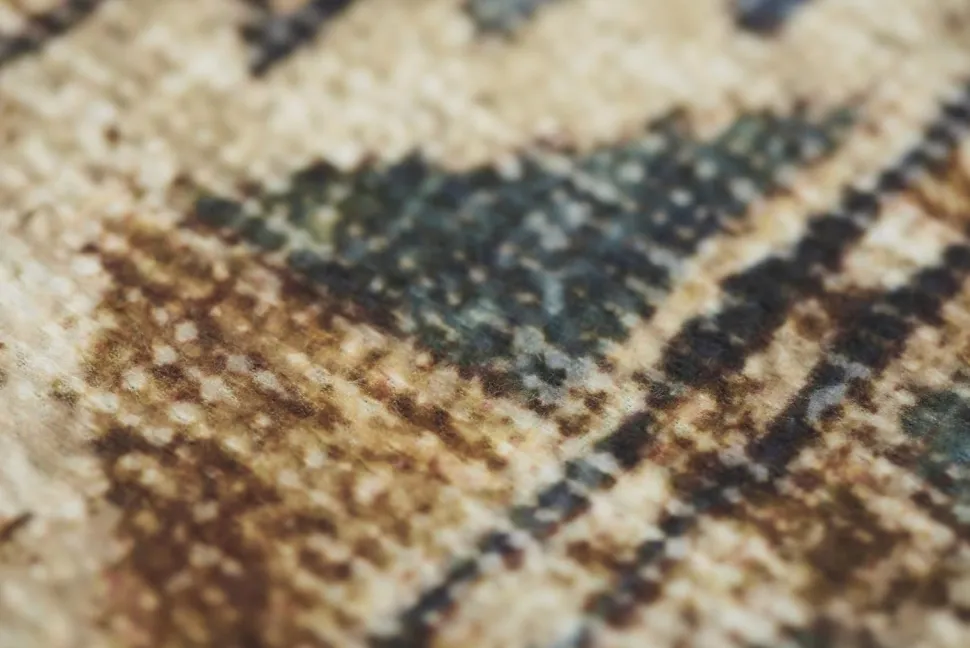 Dywan Carpet Decor Persian Brown 160x230