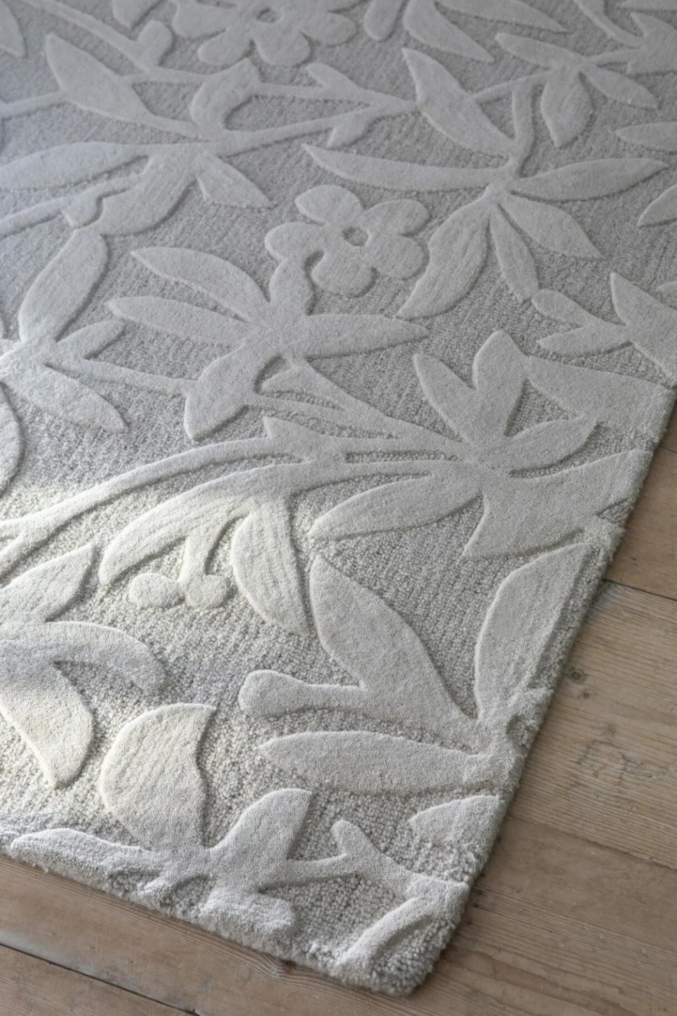 Dywan Cleavers Natural 250x350cm