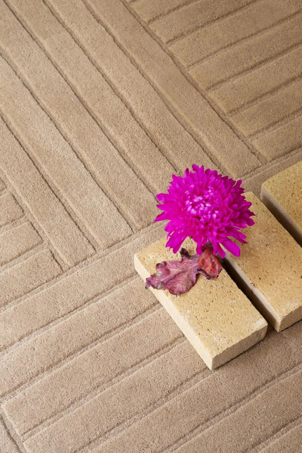 Dywan Decor Desert Warm Sand 160x230cm