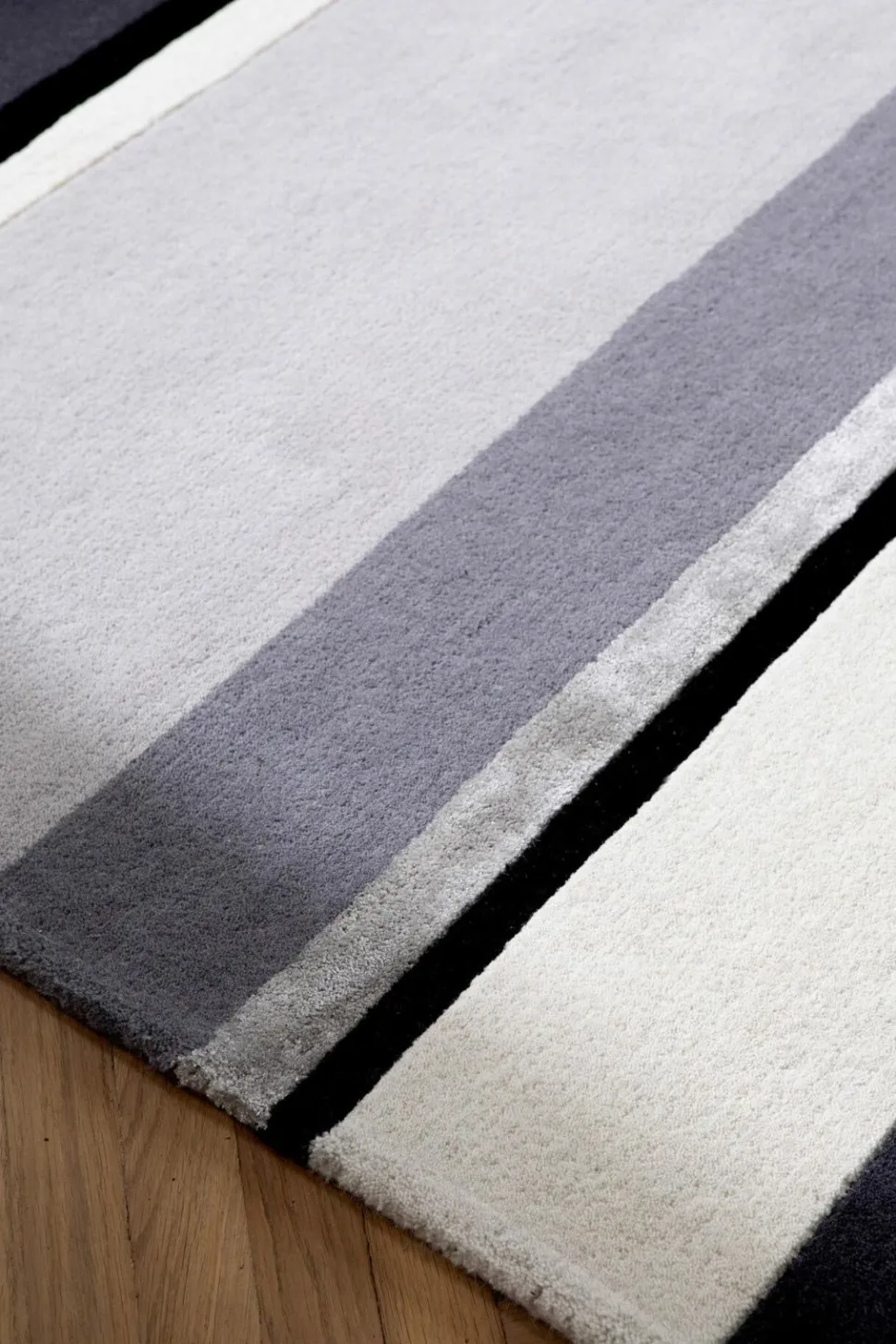 Dywan Eaton Charcoal 200x280cm