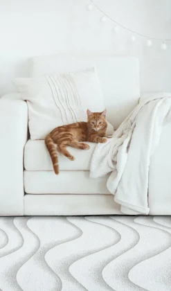 Dywan Sabbia Beige 200x300 Carpet Decor Magic Home