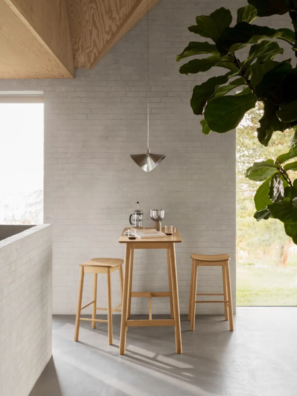 Hoker Barlow dąb naturalny