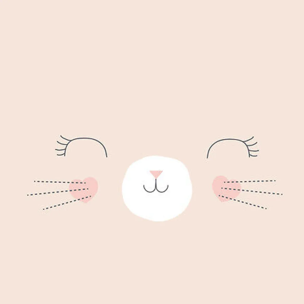 Komplet pościeli dziecięcej z nadrukiem kota 140 x 200 cm