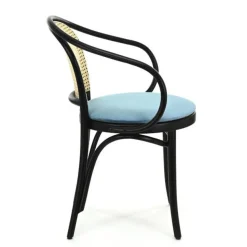 Krzesło z podłokietnikami Fameg B-9/4 CATL2 standard