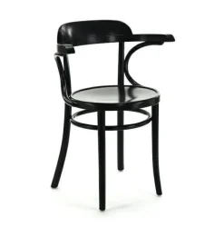 Krzesło z podłokietnikami Fameg B-1110 CATL2 standard