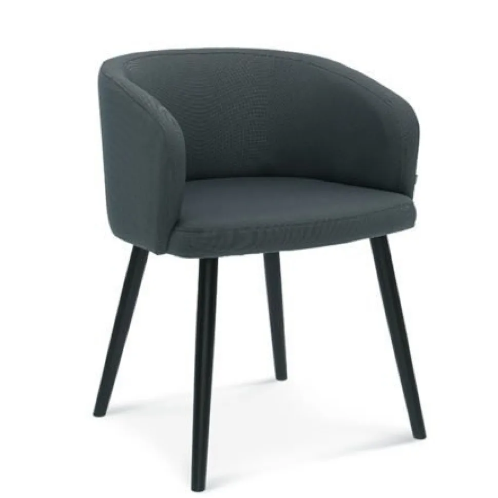 Krzesło z podłokietnikami Fameg Skip B-1524 CATA buk premium