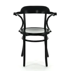 Krzesło z podłokietnikami Fameg B-1110 CATA standard