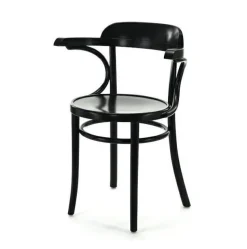 Krzesło z podłokietnikami Fameg B-1110 CATA standard