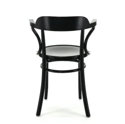 Krzesło z podłokietnikami Fameg B-1110 CATA standard