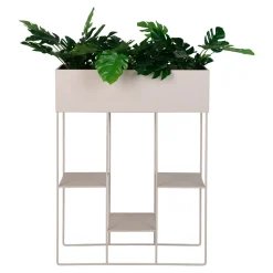 Kwietnik Rabo beżowy