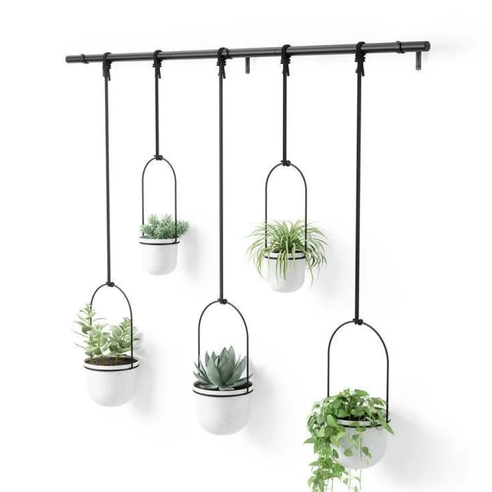 Kwietnik Triflora black/white 5