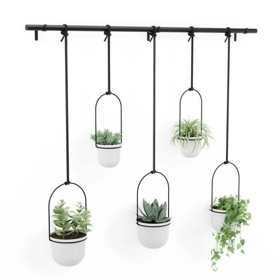 Kwietnik Triflora black/white 5