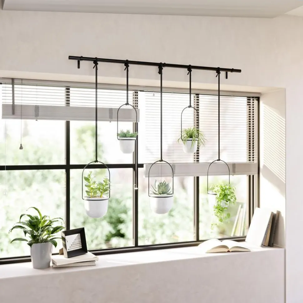 Kwietnik Triflora black/white 5