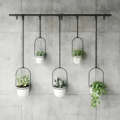 Kwietnik Triflora black/white 5