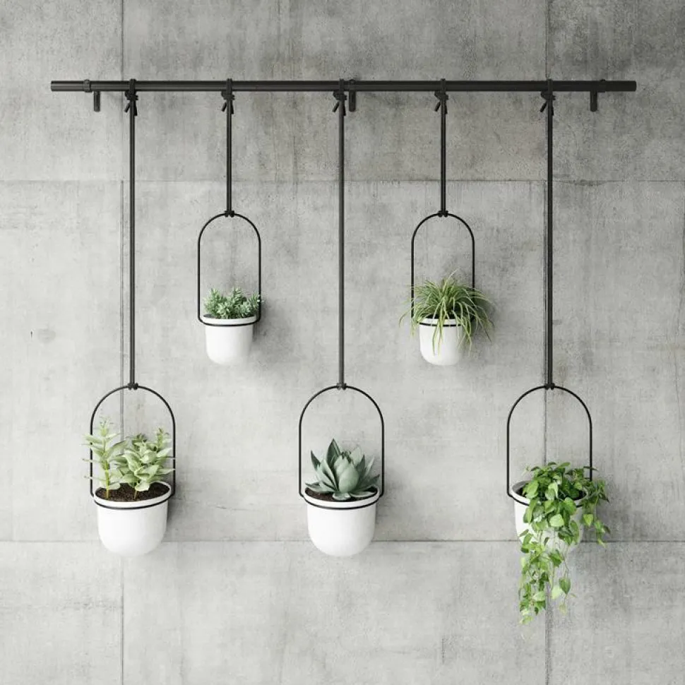 Kwietnik Triflora black/white 5