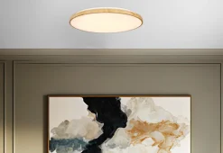 Lampa sufitowa TENS plafon z efektem drewna 48W LED 3000/4000/6000K 59cm, pilot