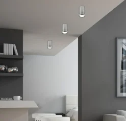 Lampa sufitowa Tuba 1x15W GU10 6,8/10  srebrny matowy