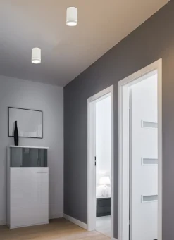 Lampa sufitowa Tuba 1x15W GU10 6,8/10  biały mat