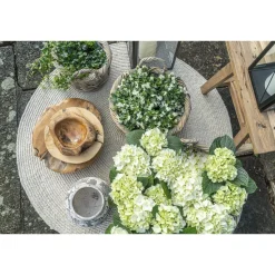 Miska Rio 40cm tekowa