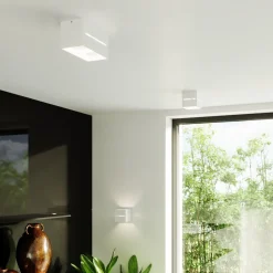 Plafon LOBO MAXI biały