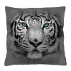Poduszka TIGER